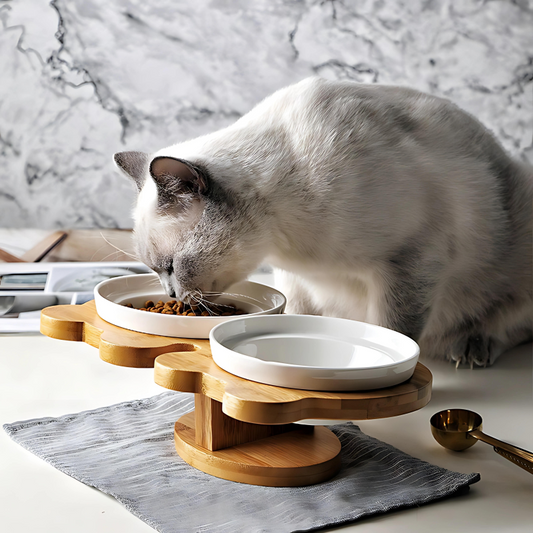 Ceramic Feeding & Drinking Bowls with Wooden Base 