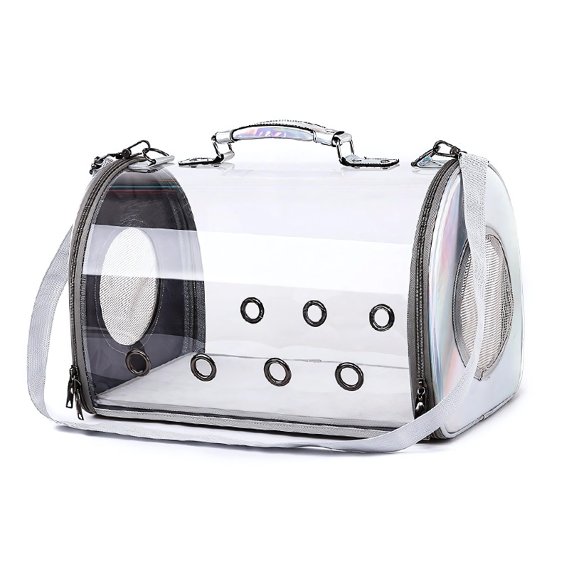 Purrfect Transparent Pet Carrier