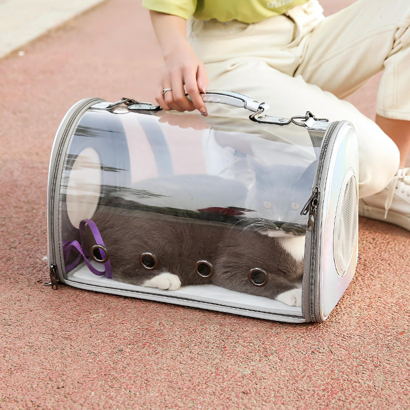 Purrfect Transparent Pet Carrier