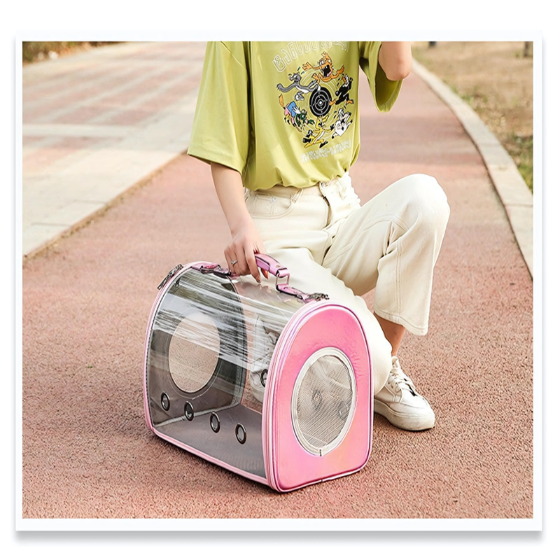 Purrfect Transparent Pet Carrier